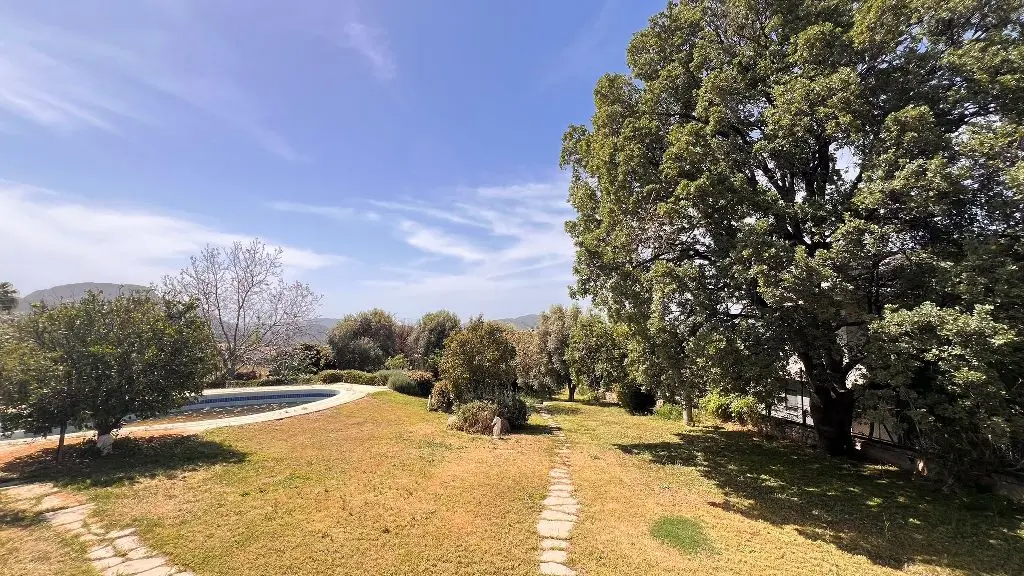 Garden area